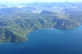 Finca frente al mar con 47 hectÃ¡reas, muchos pastizales y bosques vÃ­rgenes cerca de Playa Playa Isidora